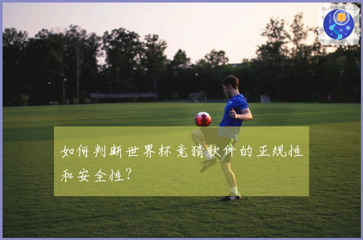 如何判断世界杯竞猜软件的正规性和安全性？