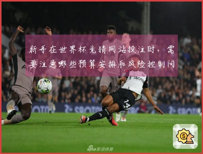 新手在世界杯竞猜网站投注时，需要注意哪些预算安排和风险控制问题
