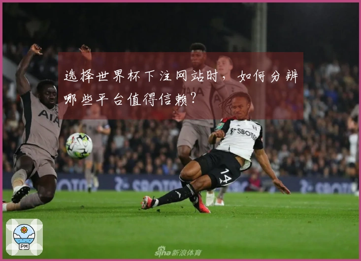 选择世界杯下注网站时，如何分辨哪些平台值得信赖？