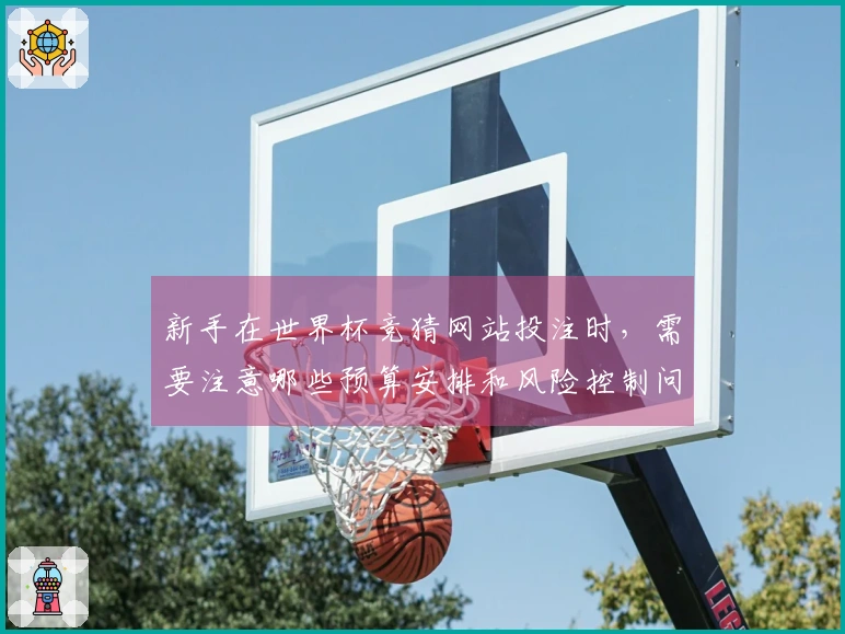 新手在世界杯竞猜网站投注时，需要注意哪些预算安排和风险控制问题